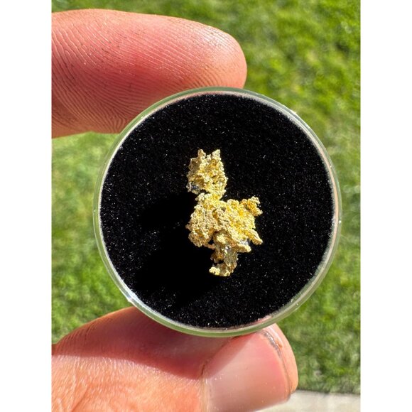 California Native Gold Crystal - 0.63 grams - Picture 4 of 5